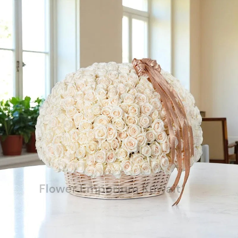300 White Roses Basket