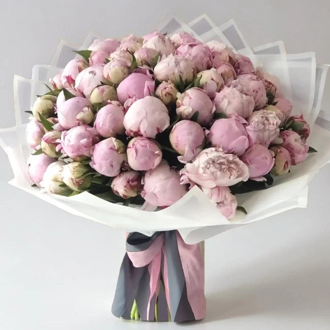 50 Pink Peonies