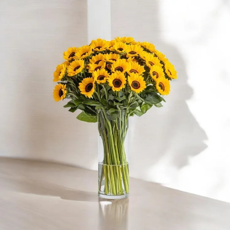 50 Sunflowers Vase