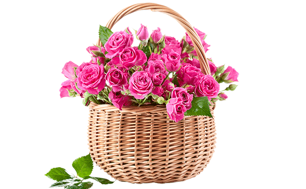 Flower Delivery in Kuwait | Top Rated Flower Shop in Kuwait – Flower ...