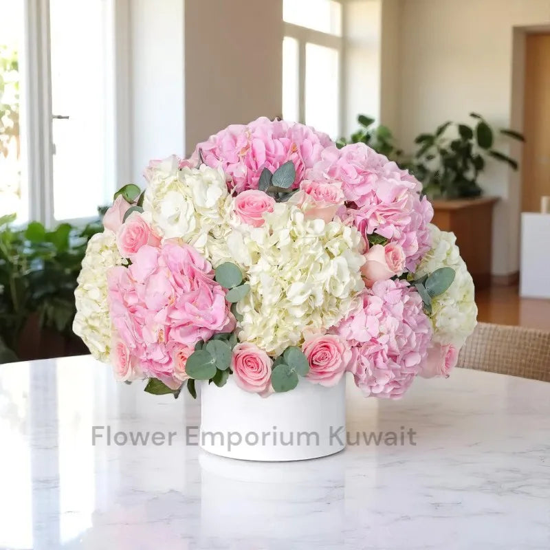 Hydrangea Pink White