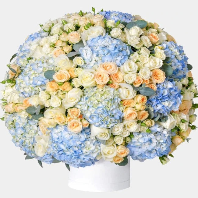 Royal Hydrangea  & Rose Bloom Box