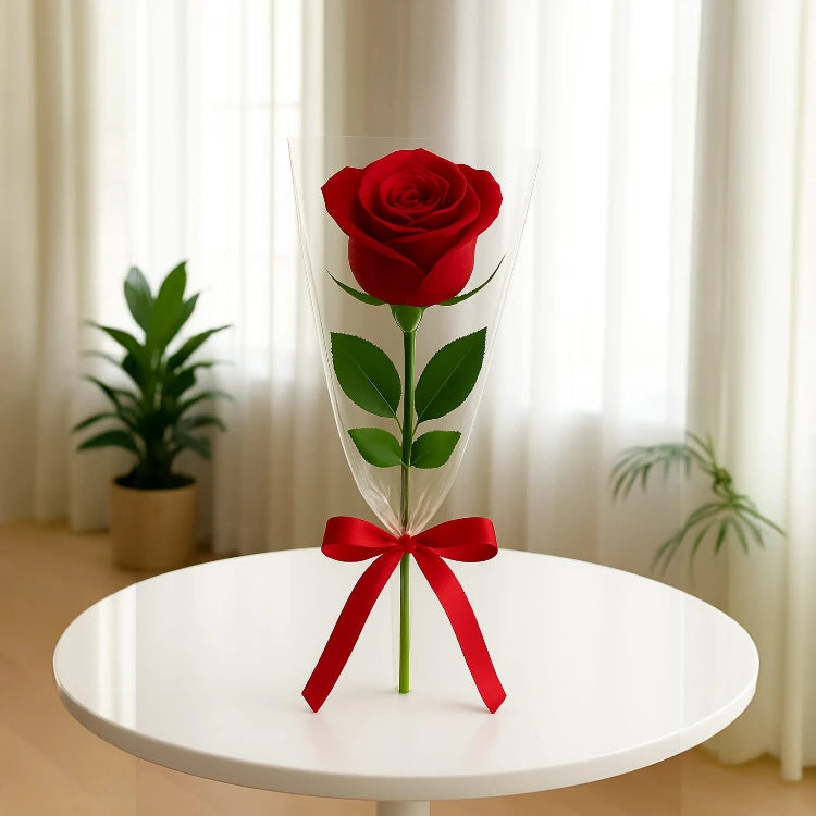 Single Red Rose
