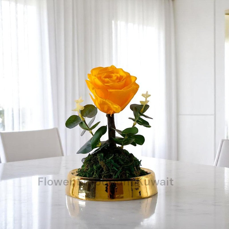 Yellow Forever Rose – Flower Emporium